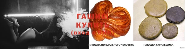 тгк Белокуриха