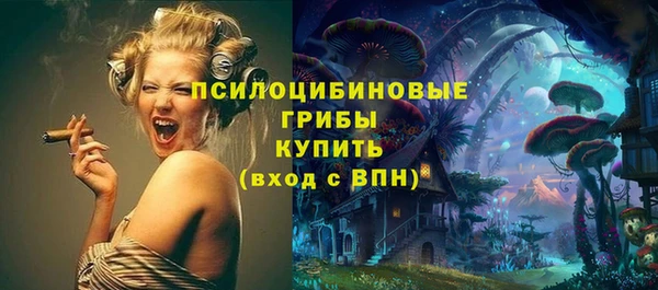 тгк Белокуриха