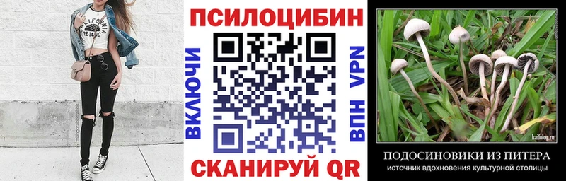 закладка  Киржач  Галлюциногенные грибы мухоморы 